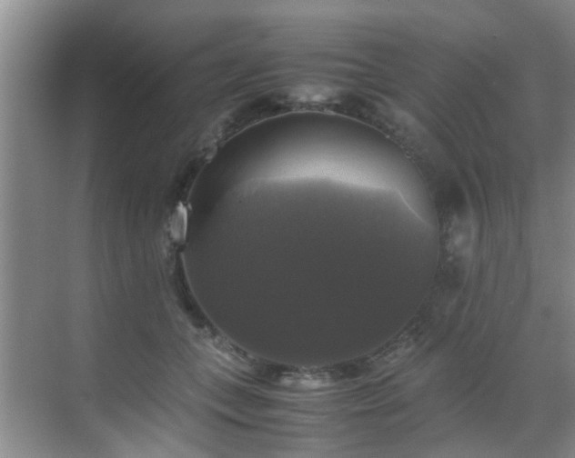 X0000070350559200606091055