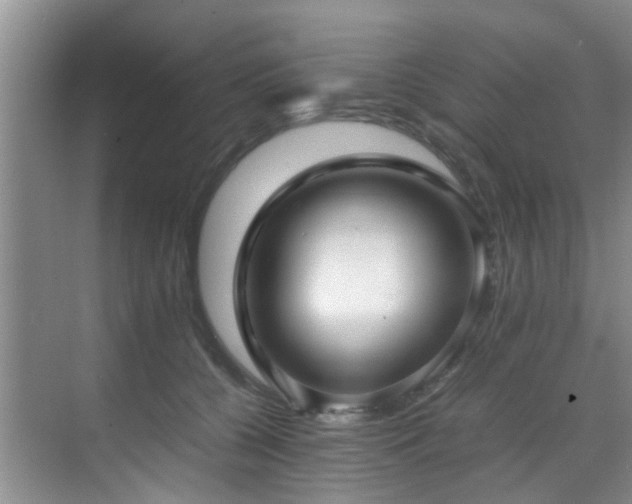 X0000070350560200606091055