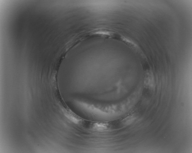 X0000070350573200606091055