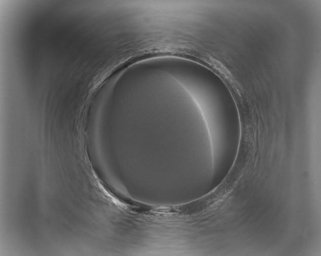 X0000070350577200606091054
