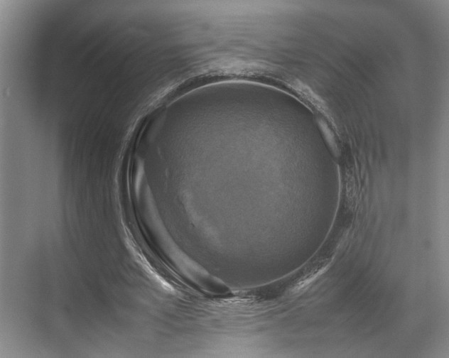 X0000070350581200606091054