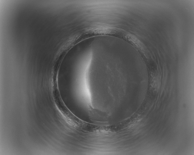 X0000070350586200606091054
