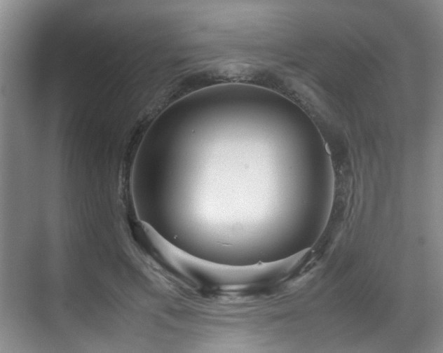 X0000070350597200606091054