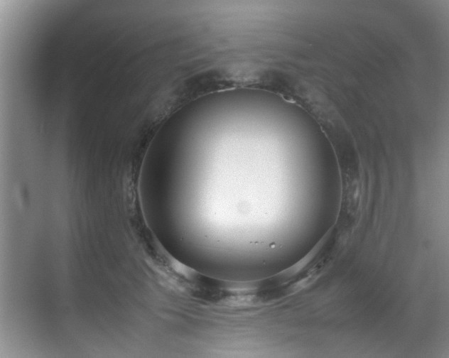 X0000070350609200606091054