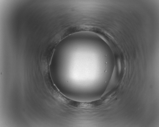X0000070350617200606091054