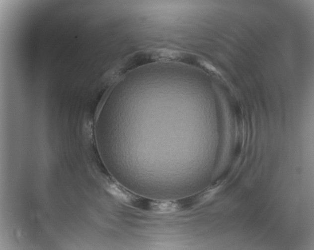 X0000070350621200606091054