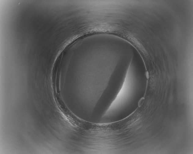 X0000070350626200606091053