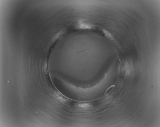 X0000070350669200606091053