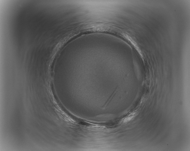 X0000070350673200606091053