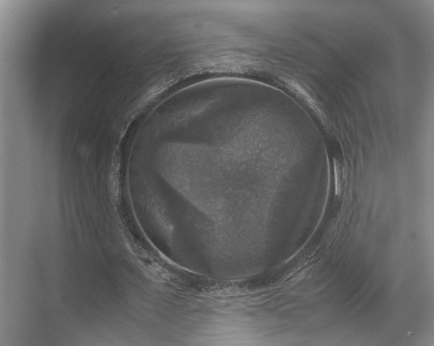 X0000070350675200606091053