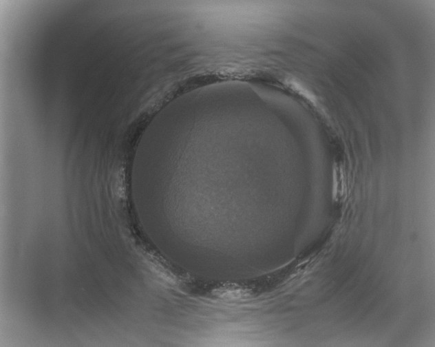 X0000070350689200606091052