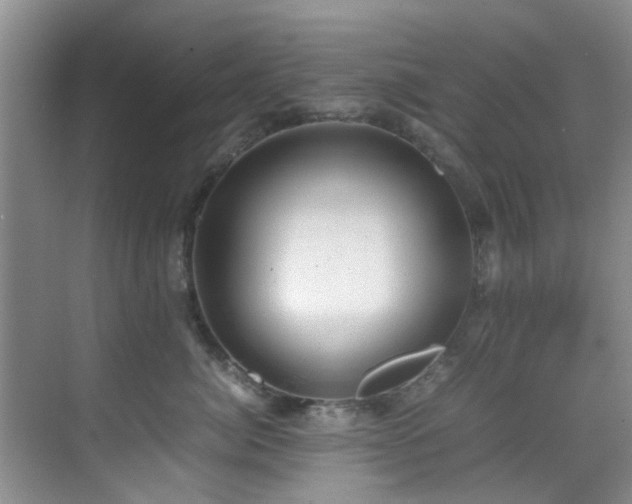 X0000070350764200606091052