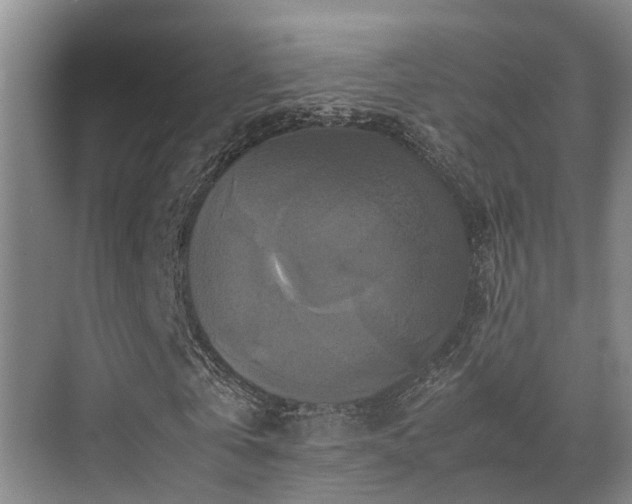 X0000070350769200606091051