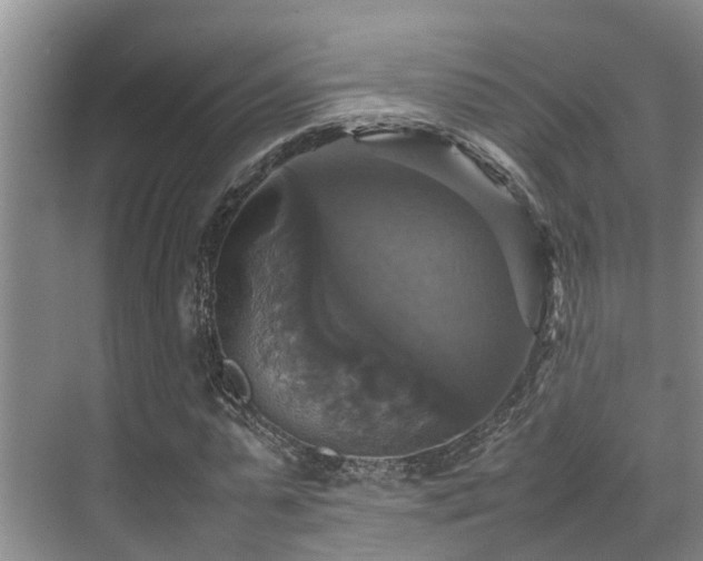 X0000070350775200606091051
