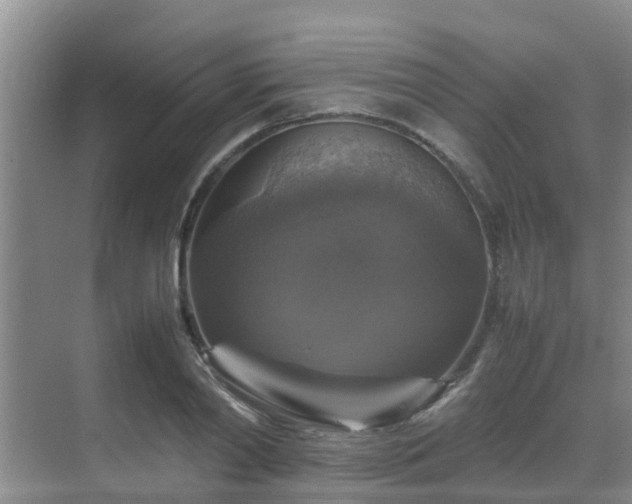 X0000070350790200606091051
