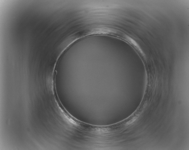 X0000070350802200606091051