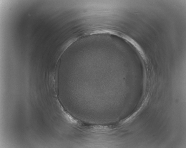 X0000070350809200606091050