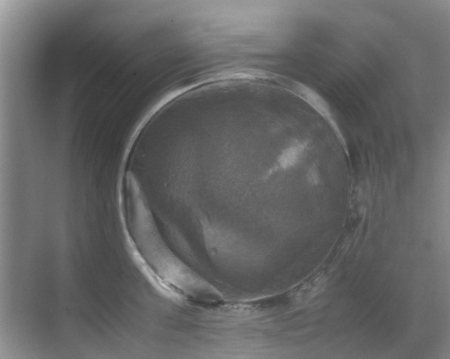 X0000070350811200606091050