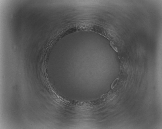 X0000070350817200606091050