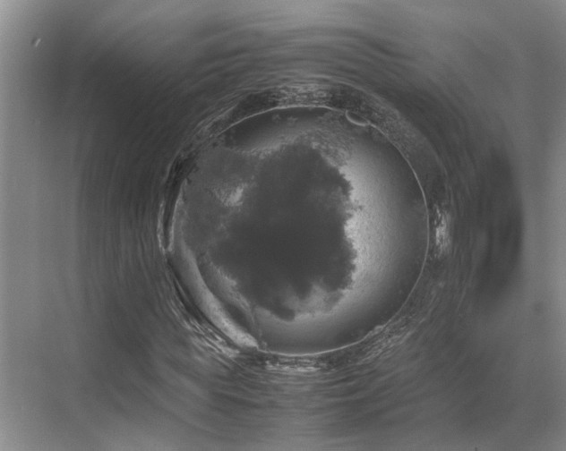 X0000070350819200606091050