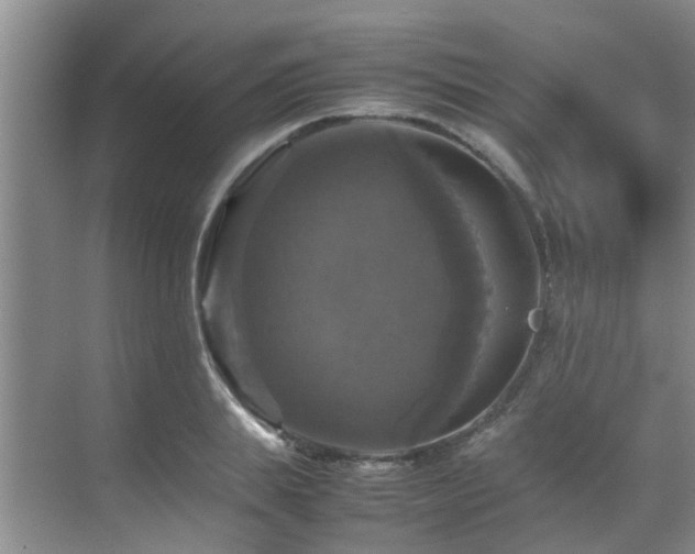 X0000070350839200606091050