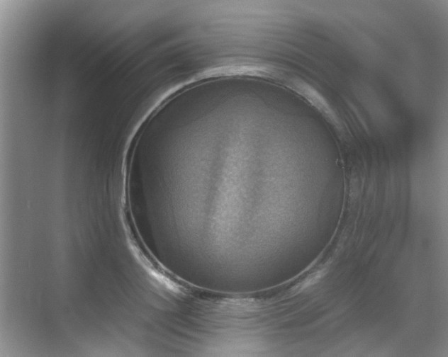 X0000070350844200606091050