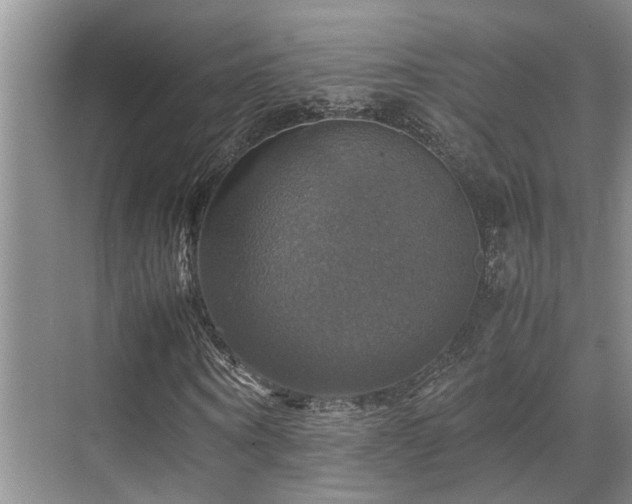 X0000070350866200606091049