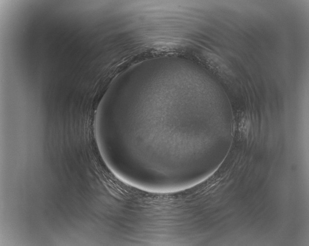 X0000070350868200606091049