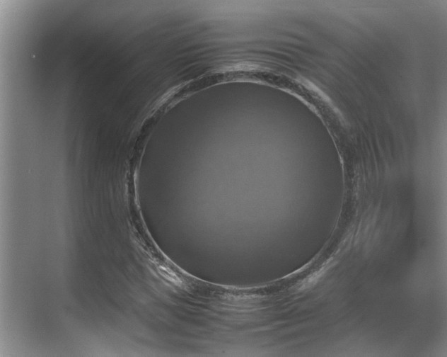 X0000070350921200606091048