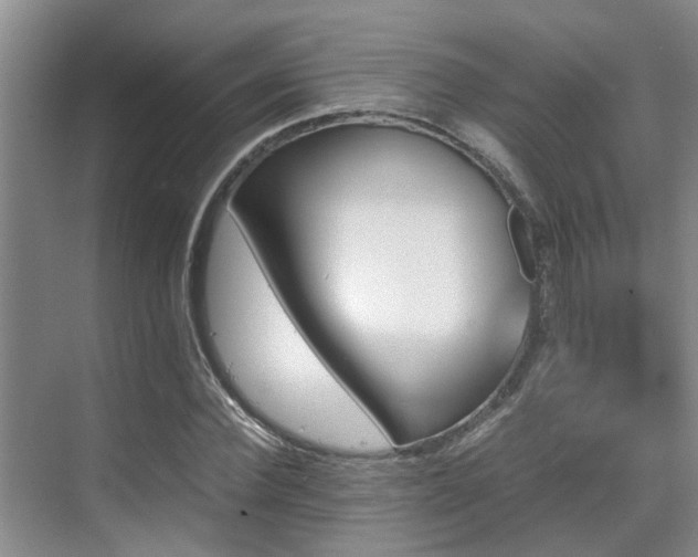 X0000070350924200606091048