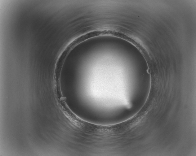 X0000070350927200606091048