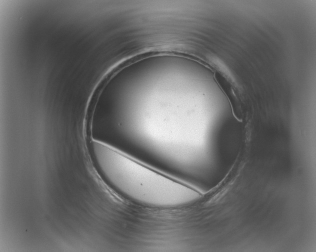 X0000070350932200606091048