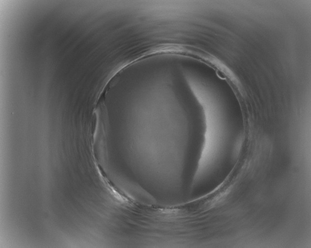X0000070350953200606091049