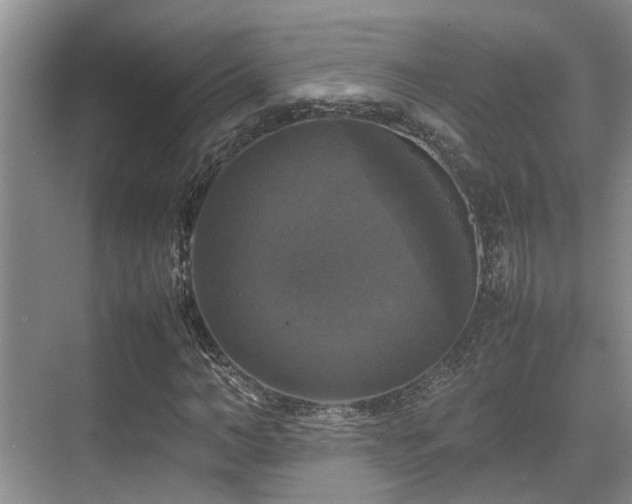 X0000070350966200606091048