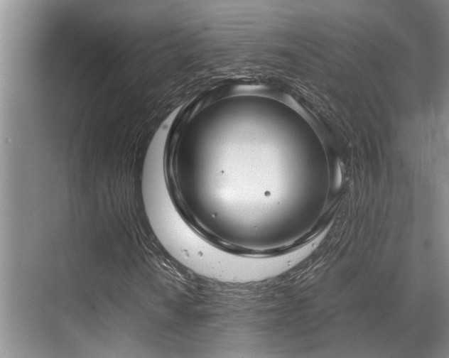 X0000070351010200606091046
