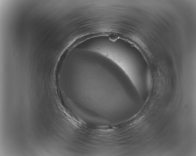 X0000070351023200606091047