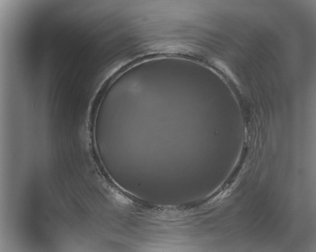 X0000070351071200606091046