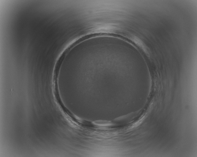 X0000070351077200606091046