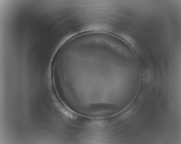 X0000070351078200606091046