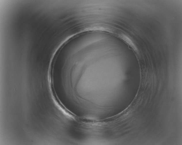 X0000070351084200606091046