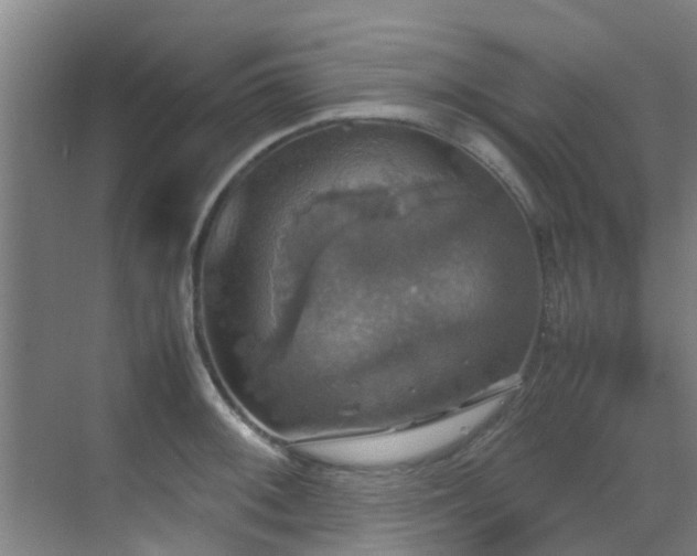 X0000070351092200606091046