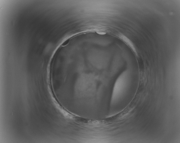 X0000070351099200606091046