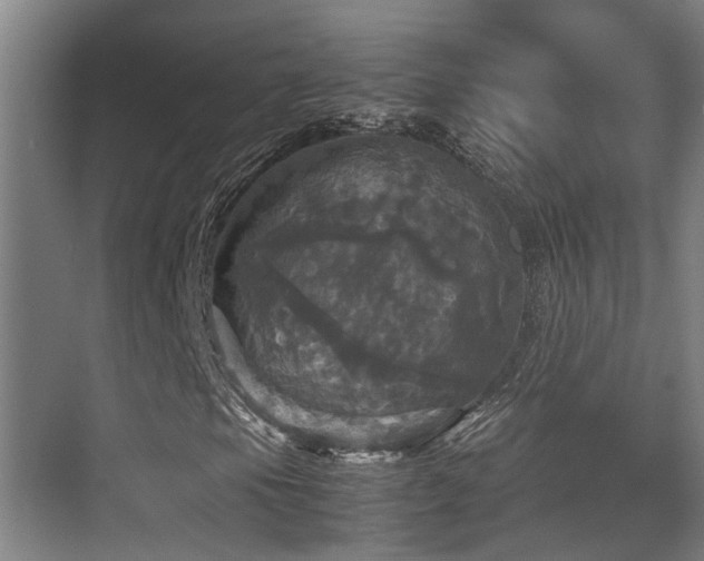 X0000070351105200606091045