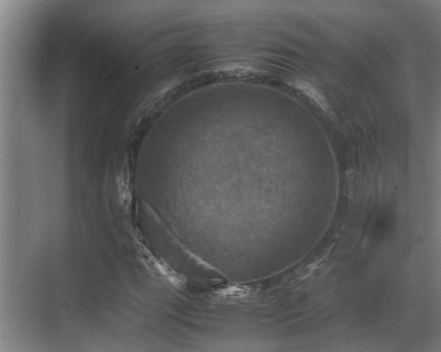 X0000070351111200606091045