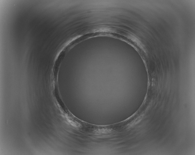 X0000070351117200606091045