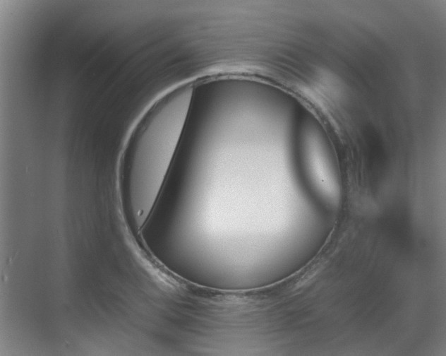 X0000070351124200606091045