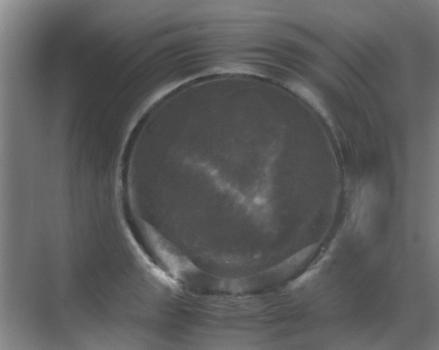 X0000070351133200606091045