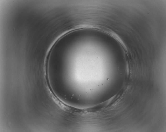 X0000070351148200606091045