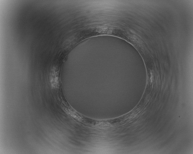 X0000070351154200606091045