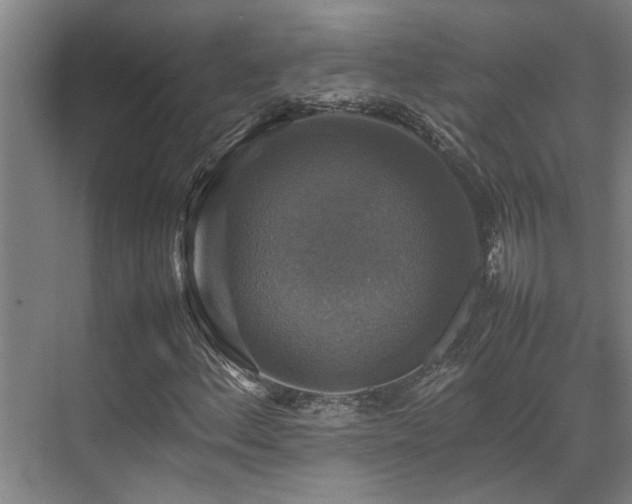 X0000070351156200606091045